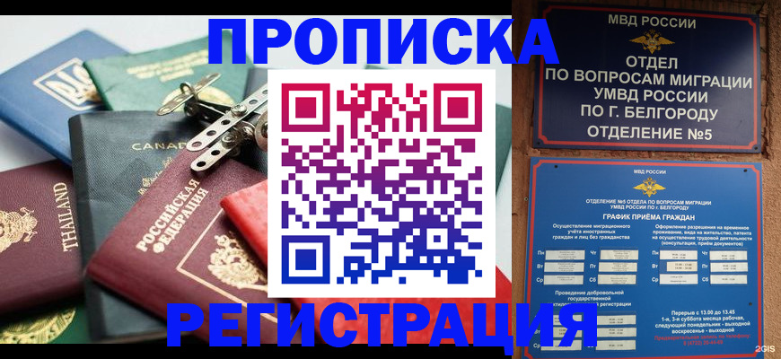 временная регистрация недорого в Людиново